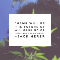 cbd-memes-jack-herer-quote-about-hemp-1
